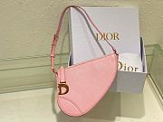 Fortok Dior Rodeo Saddle Pouch in Pink 20x15x4cm - 1