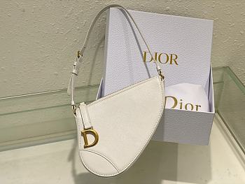 Fortok Dior Rodeo Saddle Pouch in White 20x15x4cm