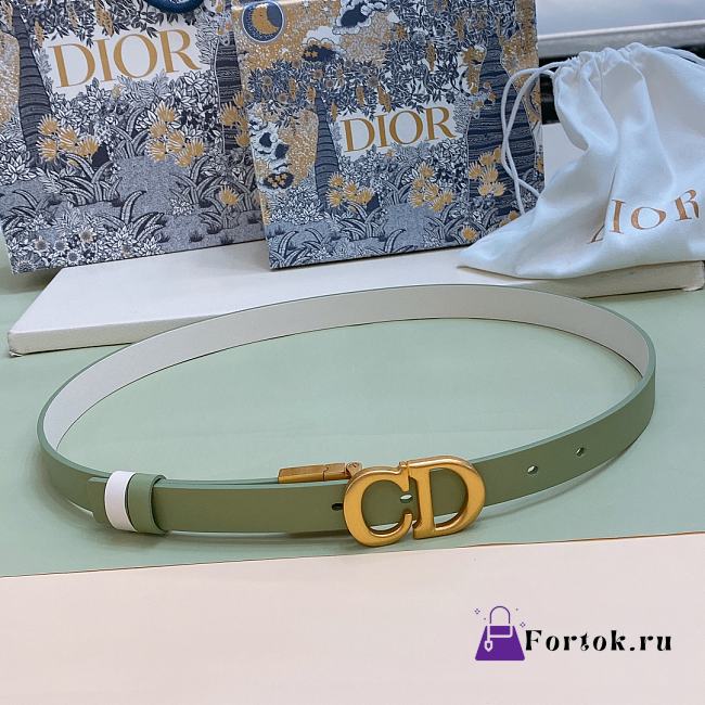 Fortok Dior 30 Montaigne Reversible Belt Green and White 2cm - 1
