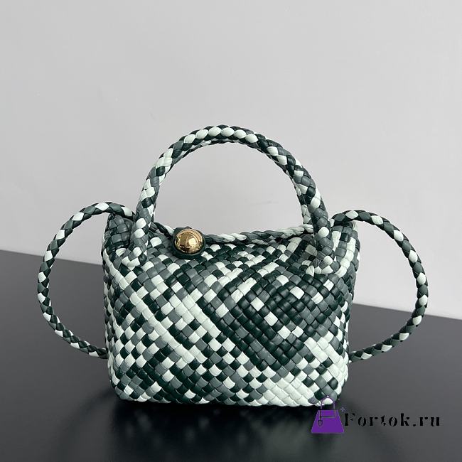 Fortok Bottega Veneta Mini Tosca Bag in Tricolor Green and White 20x15.5x7cm - 1