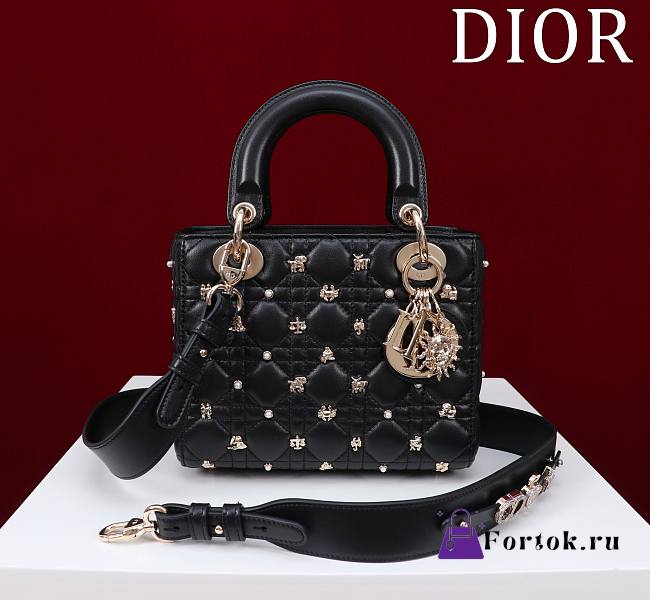 Fortok Dior Lady Dior Constellation Pearl Nails Bag in Black 20x16x8cm - 1