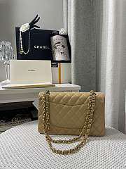 Fortok Chanel Classic Flap Bag in Beige 25.5cm - 2