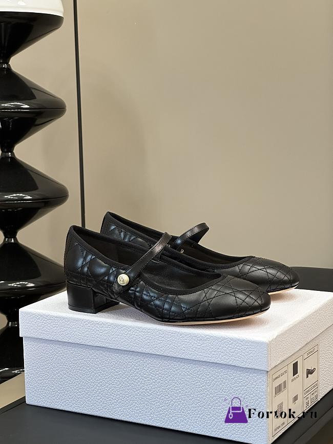 Fortok Dior Ballet Flat Black Quilted Cannage Calfskin - 1