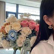 Fortok Dior Translucent Triables Earrings - 4