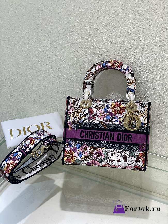 Fortok Dior Lady D-Lite white multi-color Dior 4 Saisons Hiver Pattern Embroidery Bag 24x20x11cm - 1