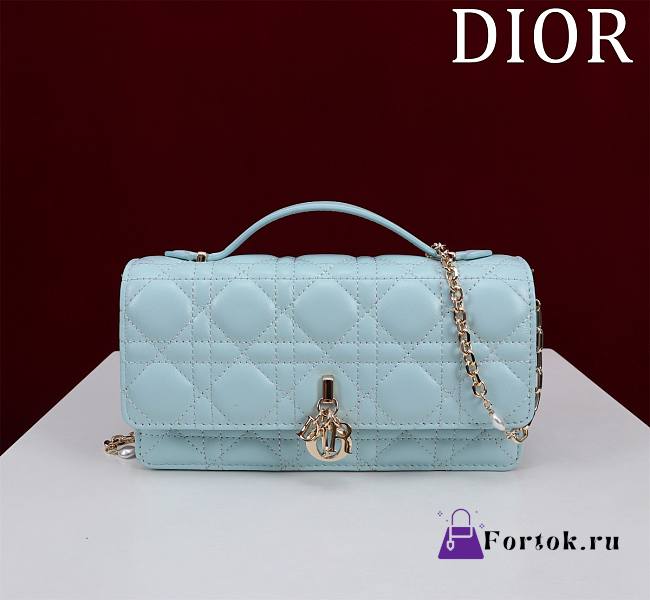 Fortok Dior Miss Dior Bag Blue Cannage Lambskin 0980 21x11.5x4.5cm - 1