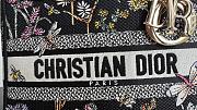 Fortok Dior Lady D-lite Bag Black Flower Winter Lady Diana Embroidery 24x20x11cm - 2