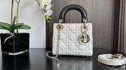 Fortok Dior Classic Lady Diana Bag Black & White 17x7x15cm - 1
