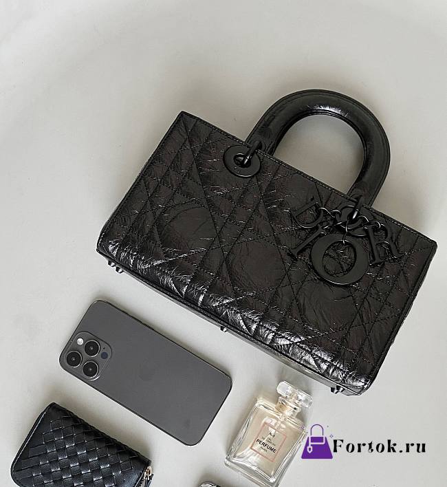 Fortok Dior Lady D-Sire Bag Black 26×15×8cm - 1