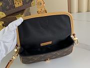Fortok Louis Vuitton Nano Diane Bag Monogram Brown M83566 19x10.5x6cm - 3