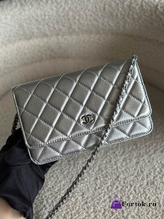 Fortok Chanel 21SS Woc Chain Bag Silver 19.5x12x3.5cm - 1
