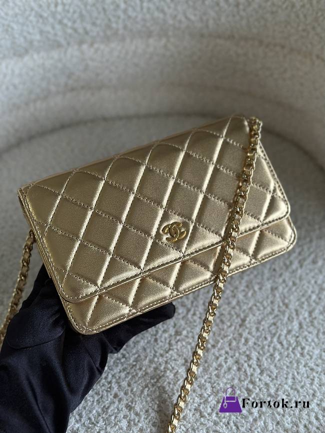 Fortok Chanel 21SS Woc Chain Bag Gold 19.5x12x3.5cm - 1