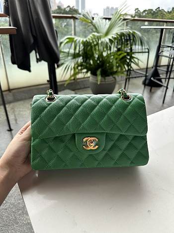 Fortok Chanel Classic Flap Bag Green Caviar Leather 01117 23cm