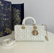 Fortok Dior Lady D-Joy White Graphic Cannage Calfskin 26x6x14cm - 1