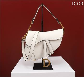 Fortok Dior Mini Saddle Bag White 19.5x16x6.5cm