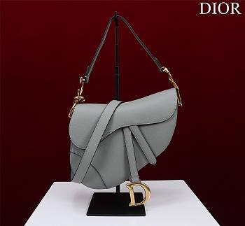 Fortok Dior Mini Saddle Bag Gray 19.5x16x6.5cm