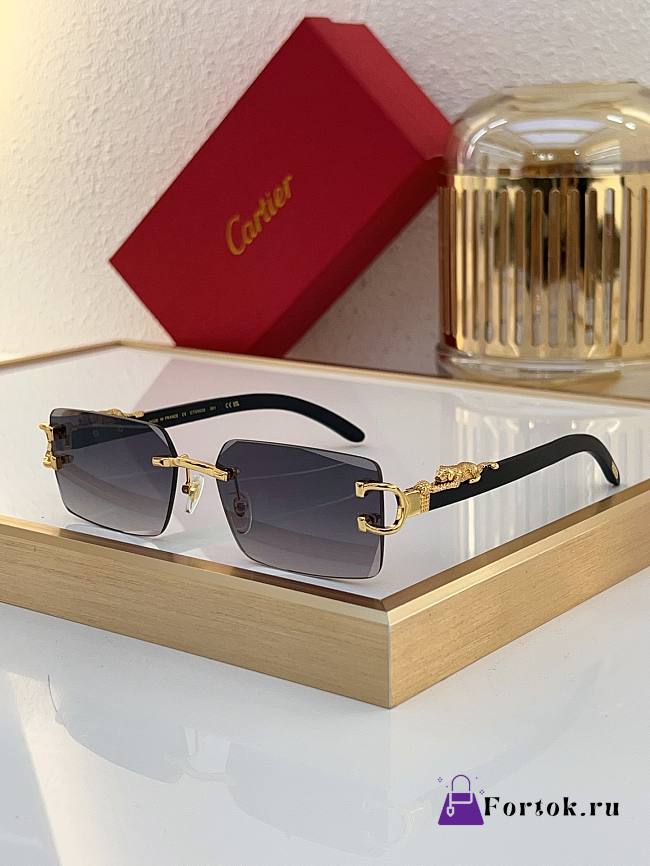 Fortok Cartier Glasses CT0560 - 1