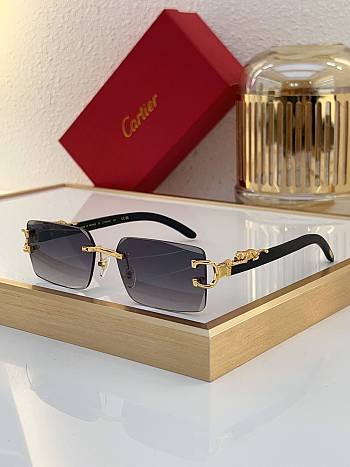 Fortok Cartier Glasses CT0560