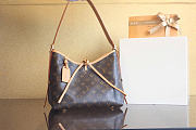 Louis Vuitton Carry All PM Handbag M46203 29x24x12cm - 1