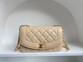 Fortok Chanel Vintage Princess Diana Bag Beige 22.5x14x7cm