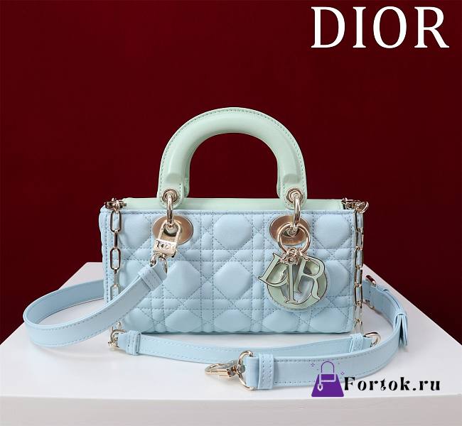 Fortok Dior Lady D-Joy Bag Green & Blue 22x12x6.5cm - 1