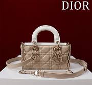 Fortok Dior Lady D-Joy Bag Beige & White 22x12x6.5cm - 1