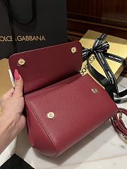 Fortok Dolce & Gabbana Scarf Red Bag 20cm  - 4