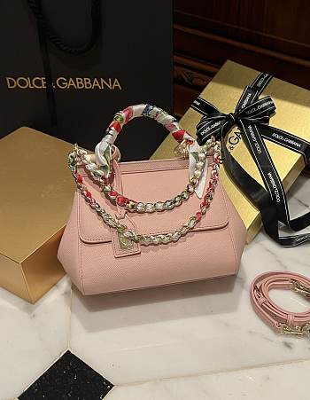Fortok Dolce & Gabbana Scarf Pink Bag 20cm