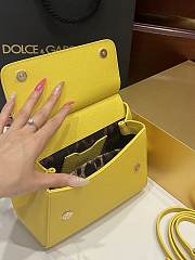 Fortok Dolce & Gabbana Scarf Yellow Bag 20cm - 4