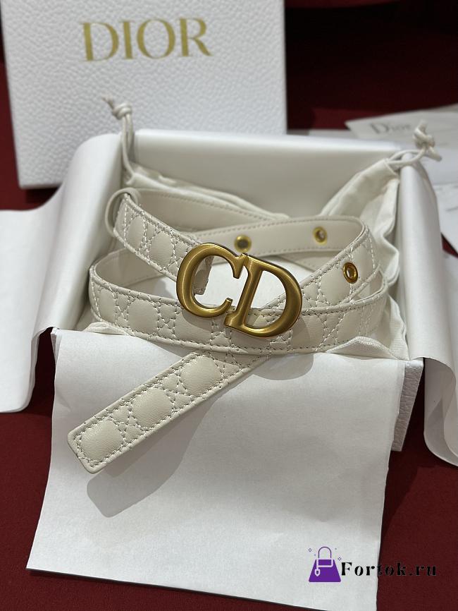 Fortok Dior 30 Montaigne Belt Latte Cannage Calfskin  - 1