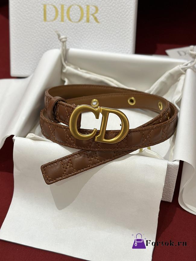 Fortok Dior 30 Montaigne Belt Brown Cannage Calfskin - 1