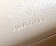 Fortok Celine Light Pink Grained Calfskin Leather Trotteur Bag 23cm - 4