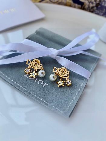 Fortok Dior Revolution Earrings 