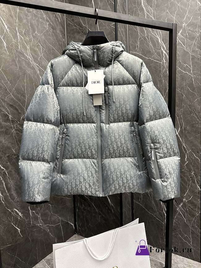Fortok Dior CD Fabric Oblique Hooded Down Jacket Grey - 1