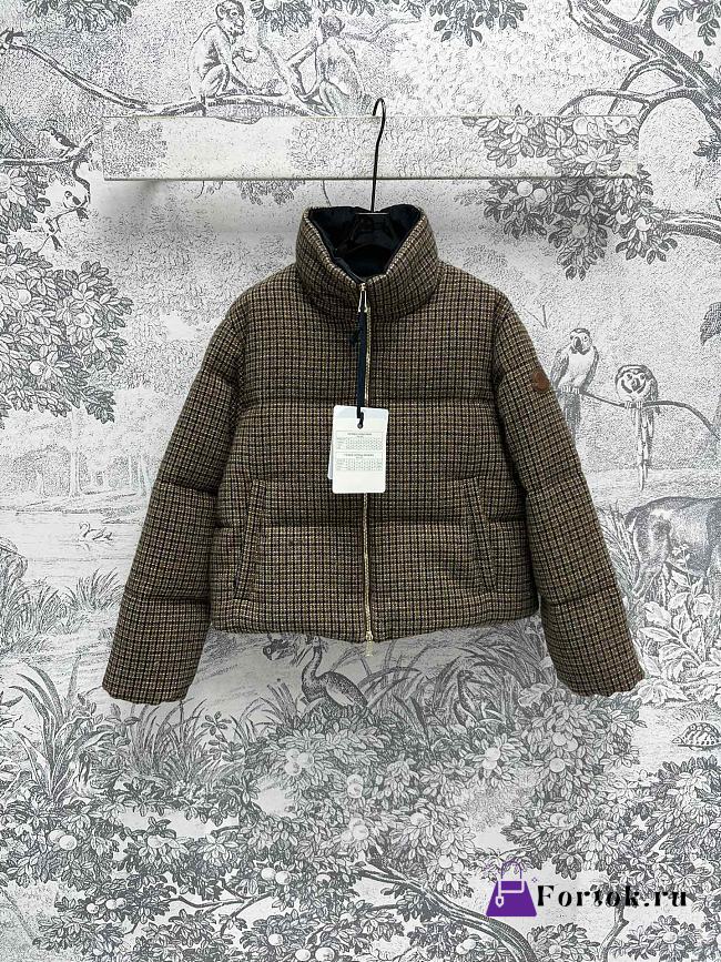Fortok Moncler Seboune Down Jacket Brown - 1