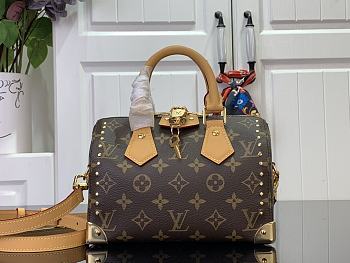 Fortok Louis Vuitton Speedy Trunk 20 Bag Brown & Beige M13146 20.5x13.5x11cm