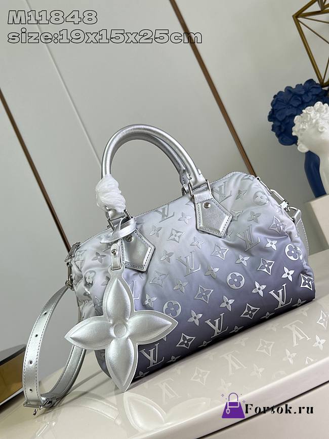 Fortok Louis Vuitton Speedy Bandoulière 25 Monogram Nylon M11848 19x15x25cm  - 1