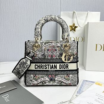 Fortok Dior Lady Lucky Star Embroidery Pattern Bag Multicolor 24x20x11cm