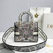 Fortok Dior Lady Lucky Star Embroidery Pattern Bag Multicolor 24x20x11cm - 2