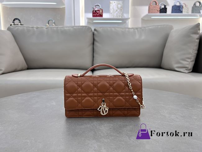 Fortok Dior Miss Dior Bag Brown Cannage Lambskin 21x11.5x4.5cm - 1
