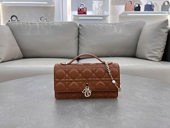 Fortok Dior Miss Dior Bag Brown Cannage Lambskin 21x11.5x4.5cm