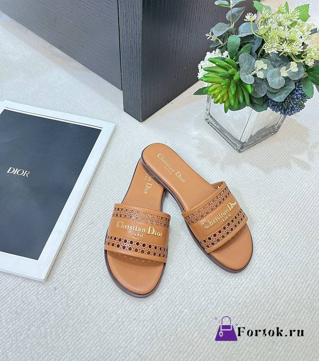 Fortok Dior D-Lane Slides Brown - 1