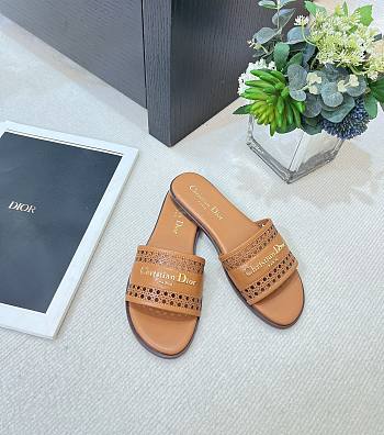 Fortok Dior D-Lane Slides Brown