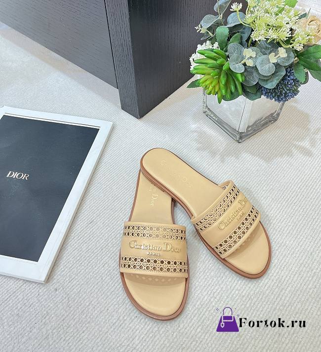 Fortok Dior D-Lane Slides Beige - 1