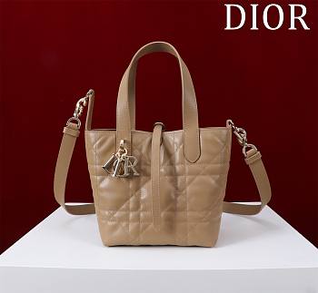 Fortok Dior Toujours Bag Brown 16x18x12cm