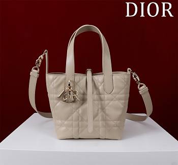 Fortok Dior Toujours Bag Beige 16x18x12cm