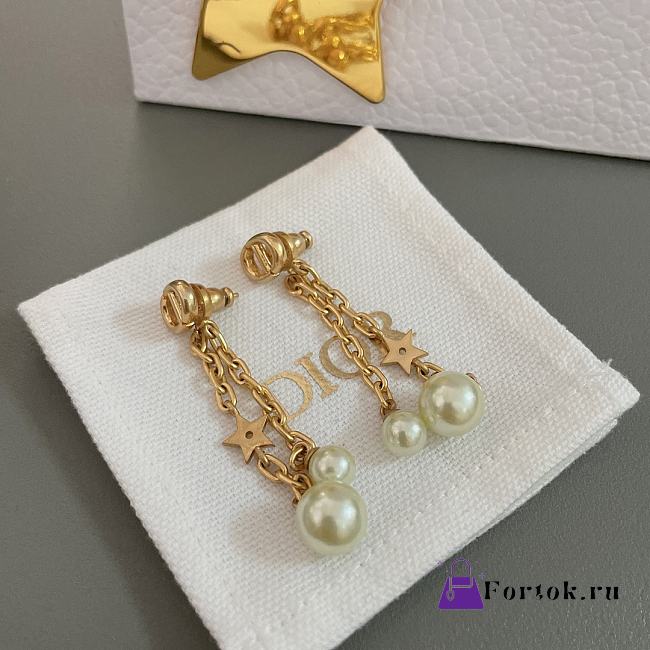 Fortok Dior Tassel Chain Earrings - 1