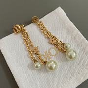 Fortok Dior Tassel Chain Earrings - 5