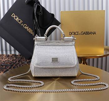 Fortok Dolce & Gabbana Lizard Pattern Diamond Sicily Silver 14x16x6cm