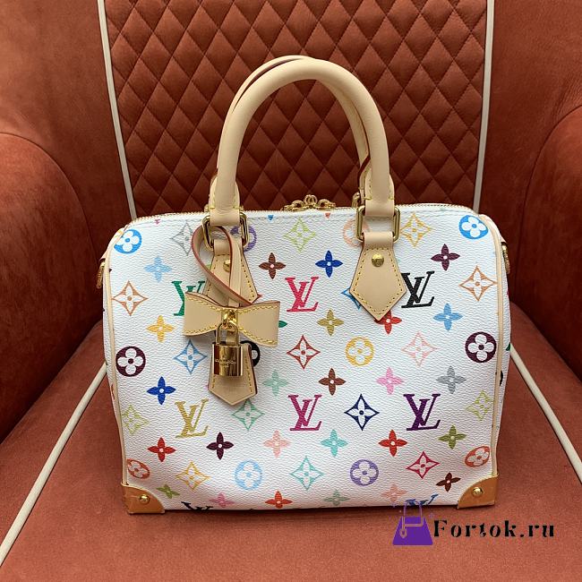 Fortok Louis Vuitton x TM Speedy Bandoulière 25 Bag Multicolour M13085 25 x 19 x 15cm - 1
